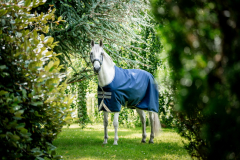 Horseware Amigo ® Bravo 1200D Weidedecke 0g Navy /Titanium