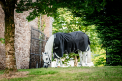 Horseware Rambo ® 1680D Original 100g lite black / thunder