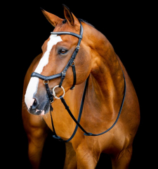 Horseware Micklem® 2 Diamante Competition Bridle schwarz