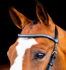 Horseware Micklem® 2 Diamante Competition Bridle schwarz